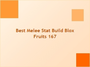 Best Melee Stat Build for Blox Fruits 167 Players